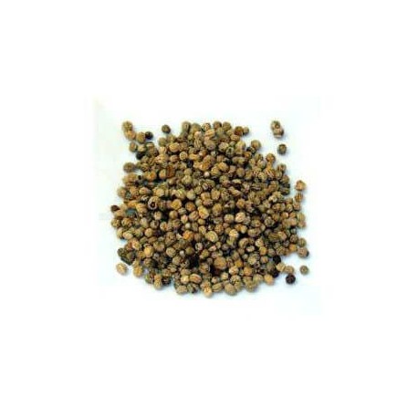 Capucine semences 100 g