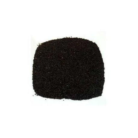 Psyllium graines 100 g