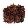 Vigne rouge feuilles 100 g