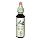 Mustard (Moutarde) Fleur de Bach 21