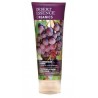 Shampoing au raisin rouge d'Italie 237ml