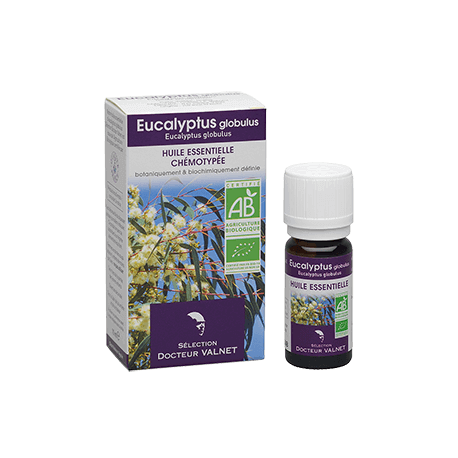 Eucalyptus globulus 10ml
