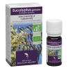 Huile essentielle Eucalyptus globulus 10ml Valnet