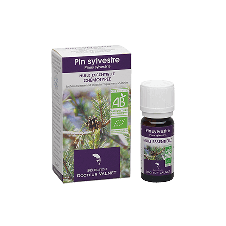 Pin sylvestre 10ml