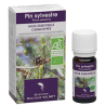 Pin sylvestre 10ml