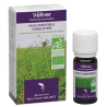 Huile essentielle Vétiver 10ml