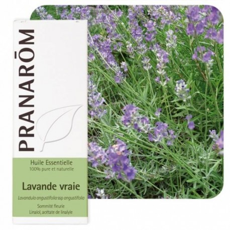 Lavande vraie bio 10ml
