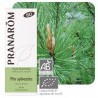 Huile essentielle Pin Sylvestre - 10ml
