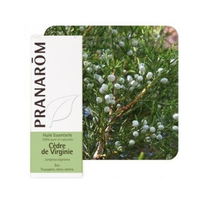 Cèdre de virginie 10ml