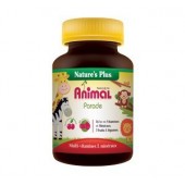 Animal Parade (Source de vie enfant )cerise