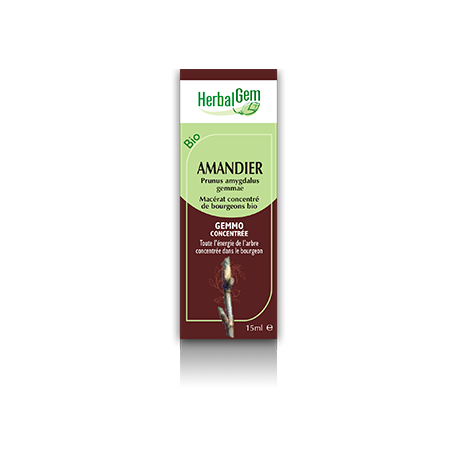Amandier - Herbalgem