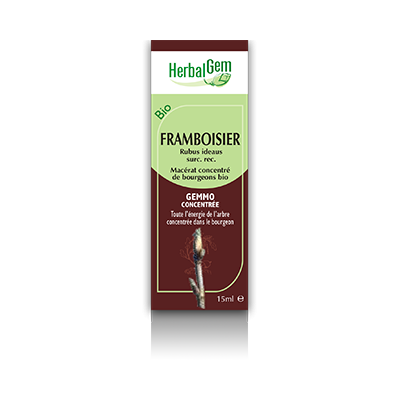 Framboisier herbalgem