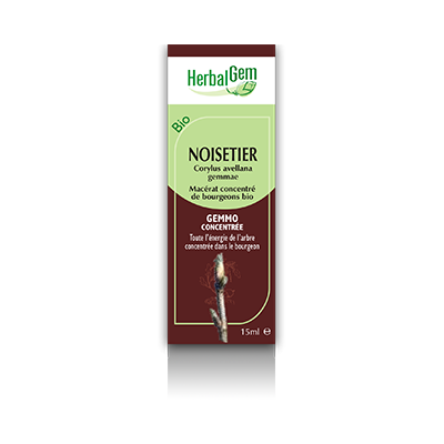 Noisetier Herbalgem