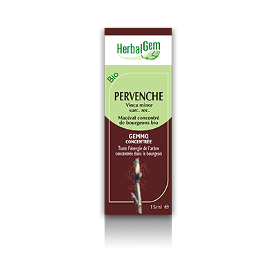 Pervenche -Herbalgem