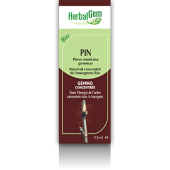 Pin des montagnes herbalgem