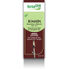 Romarin bourgeons Bio - 50ml
