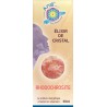 Elixir de Rhodochrosite - 30ml