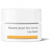 Baume pour les lèvres Bio - 4,5 ml