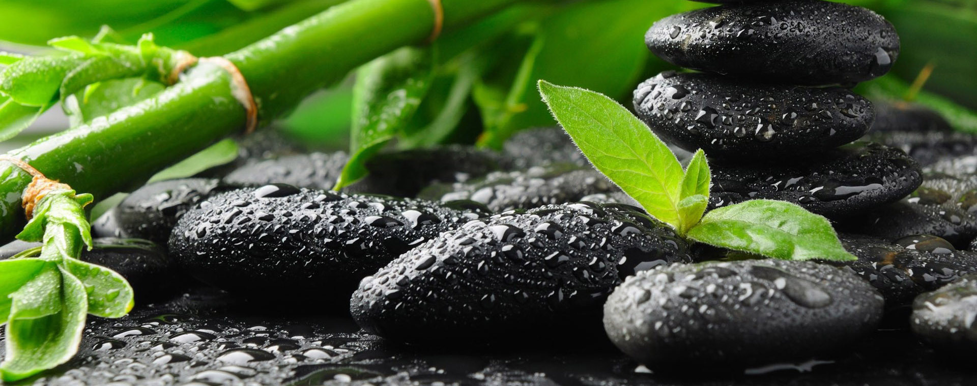 Compléments Alimentaires